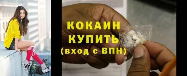 ешки Бородино