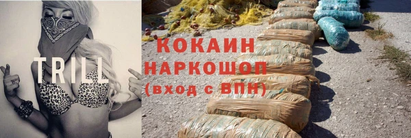 молекула духа Заречный