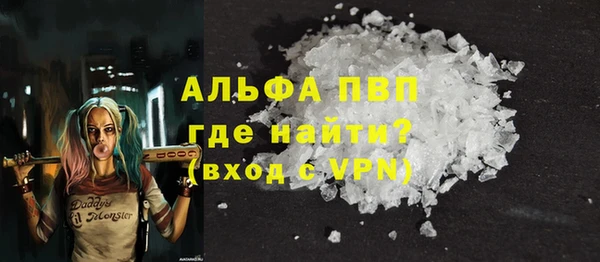 молекула духа Заречный