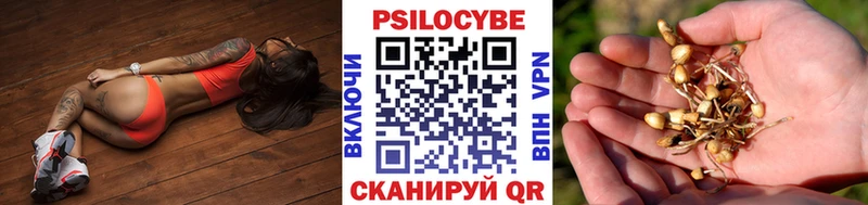Псилоцибиновые грибы мицелий  где можно купить наркотик  Неман 